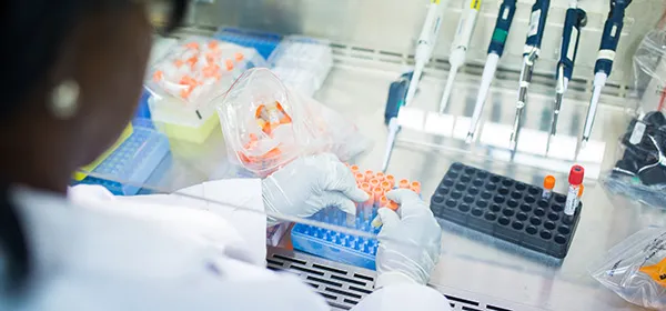 BSc Biology Degree