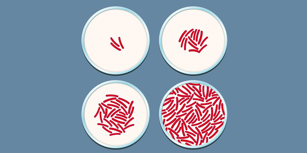 What Is Antibiotic Resistance? A Look at This International Health Problem