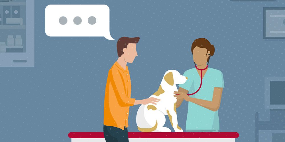 A veterinarian examines a dog with a stethoscope while talking with the pet owner in an exam room