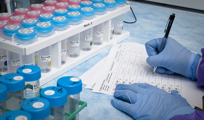 Student or researcher conducting hands-on experiment in a university science laboratory with glassware and lab equipment.