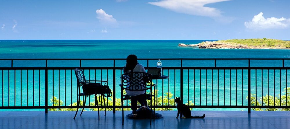 Student studying while overlooking ocean