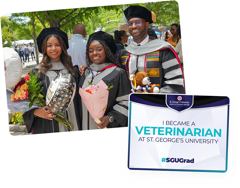 Three St. George's University veterinary graduates in caps and gowns next to an "I Became a Veterinarian" graphic