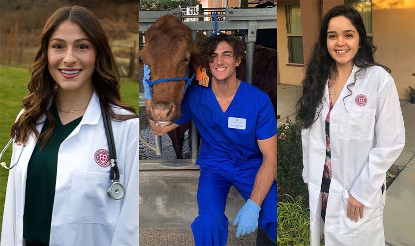 Smiling SGU School of Veterinary Medicine students and faculty in a collage celebrating academic term awards
