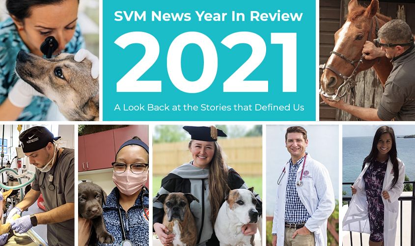 Collage for St. George University's School of Veterinary Medicine (SVM) 2021 News Year in Review, featuring images of veterinarians examining a dog and horse, students in clinical settings, and a graduate with her dogs. News