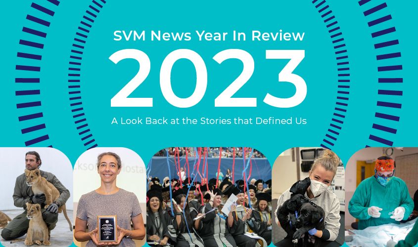 2023 Year In Review