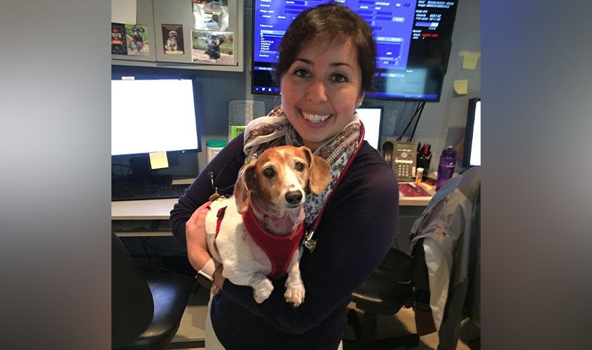Dr. Amanda LaRose, St. George’s University School of Veterinary Medicine alumna and veterinary cardiologist, professional head-and-shoulders portrait.