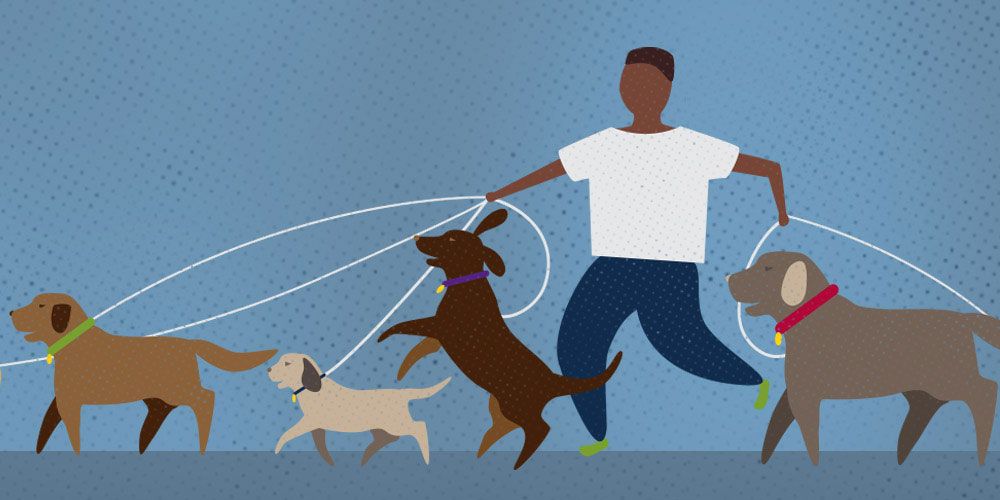 Dog Walker