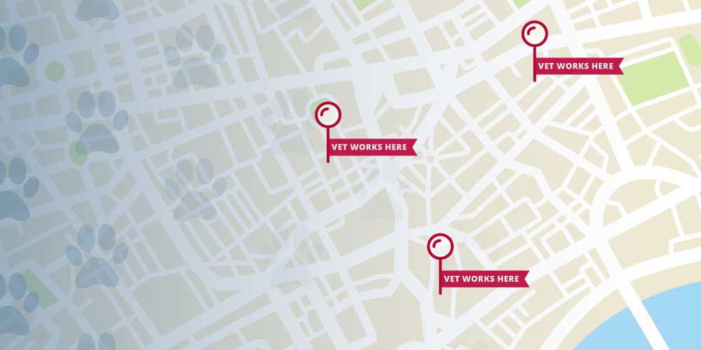Where Do Veterinarians Work? 9 Surprising Locations Square|