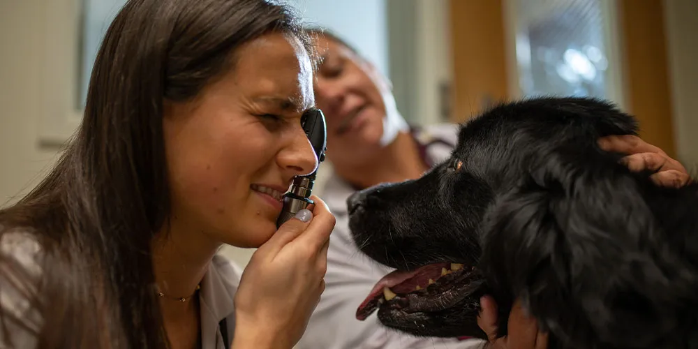 Pup Checkup