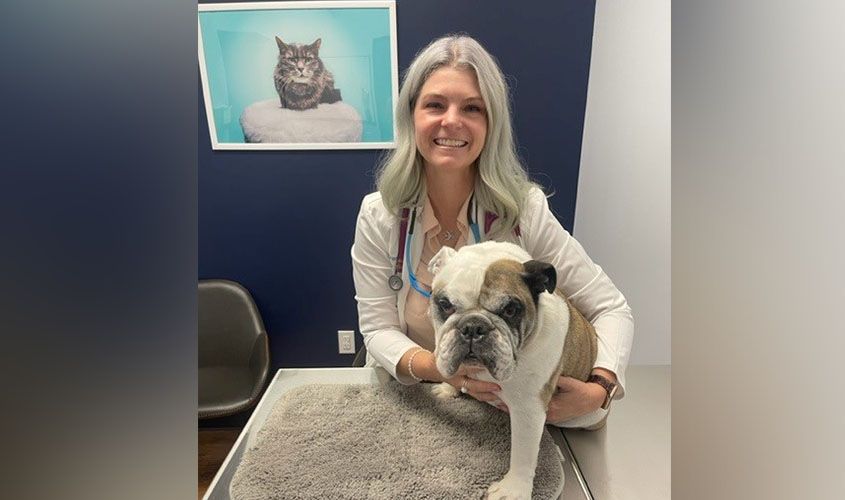 Dr. Chanda Miles smiling in a white coat while holding a Bulldog on an examination table News