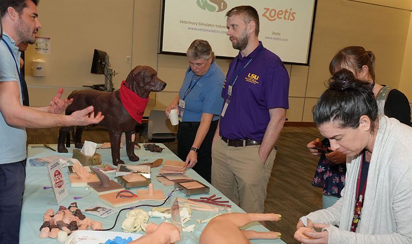 International Veterinary Simulation in Teaching (InVeST) Conference