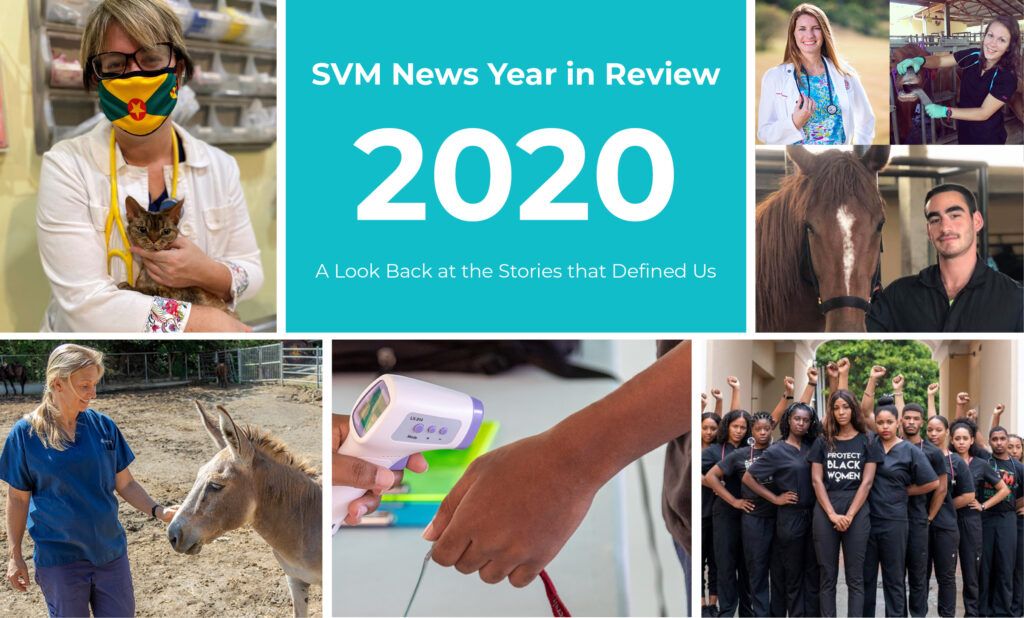 SVM News Year in Review 2020 collage featuring veterinary students, staff, animals, and campus moments