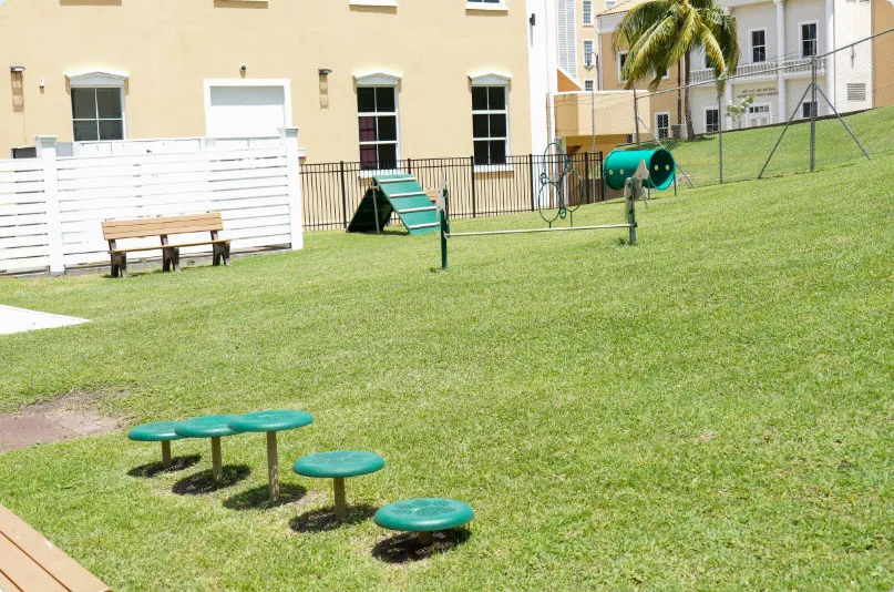 SGU dogpark