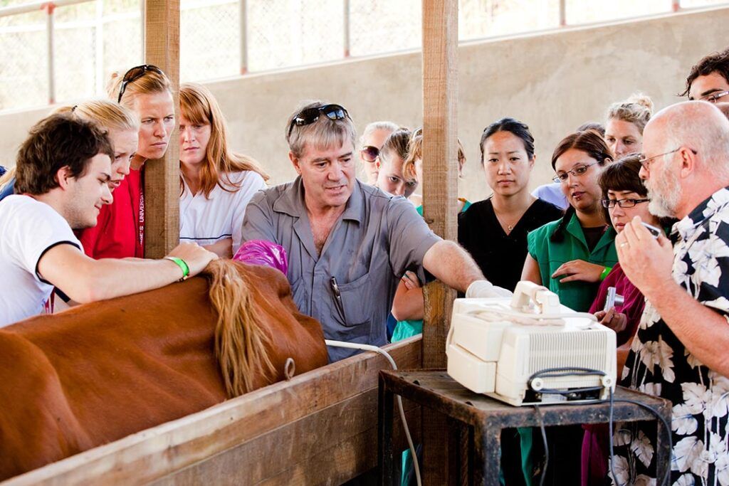 A veterinarian demonstrates an equine ultrasound examination to a group of attentive veterinary students