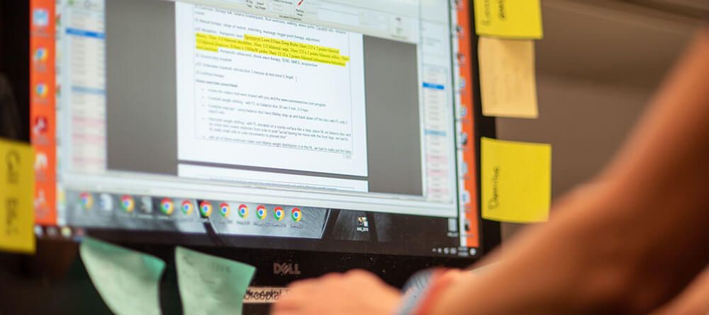 A veterinarian is entering patient information into a computer